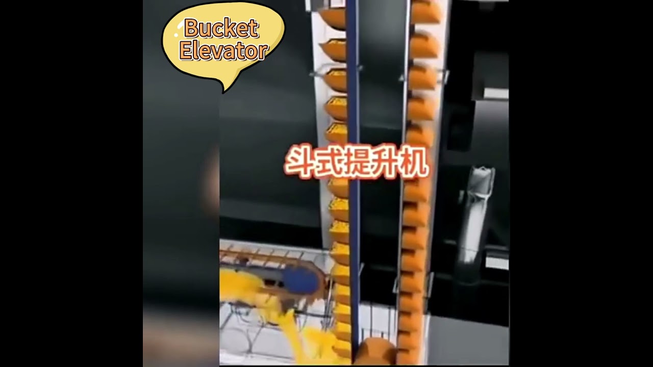 Working Principle of Bucket Elevator