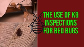 Why Use K9 Inspections in Nursing Homes