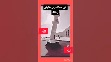 في حماك ربي غايتي رضاك اللهم صل وسلم على نبينا محمد اكسبلور الله الله اكبر ربيع القلوب 