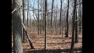 28 Danville Mountain Rd video tour