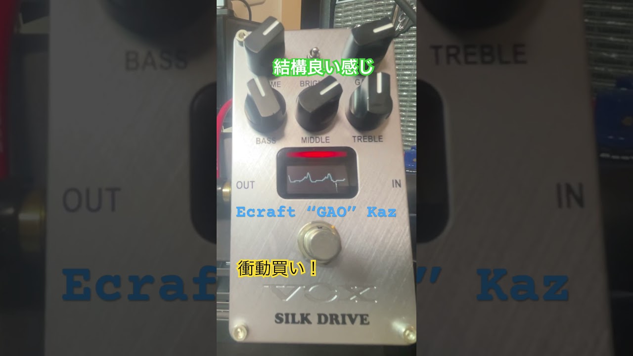VOX SILK DRIVE 衝動買いしてしまいました。　