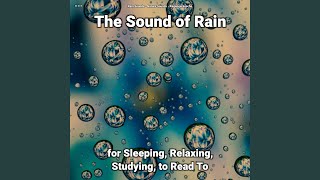 The Sound of Rain Pt. 13