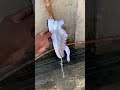 The secret to keep your sneakers clean
