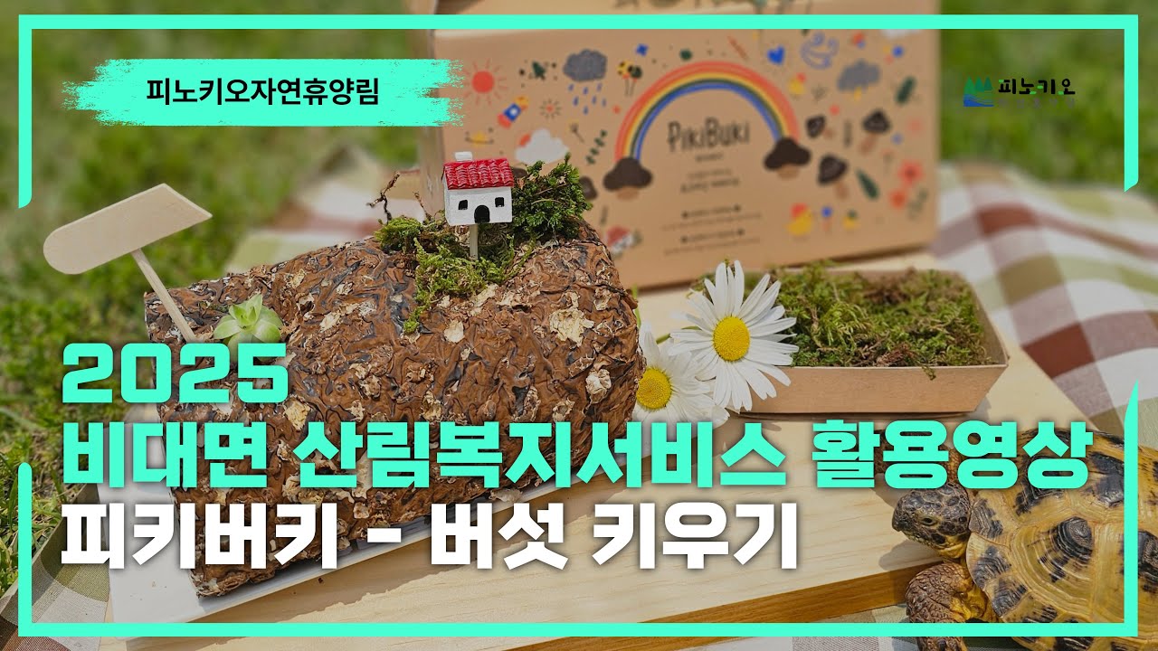 2025 비대면 산림복지서비스 피키버키 표고버섯 키우기 활용영상