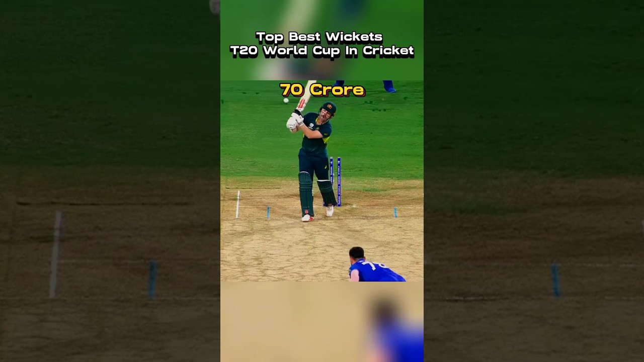 Top best bowlers wickets t20 world cup  in cricket #bestbowling #shaheenafridi #videoviral #foryou