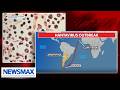 'Hantavirus is no laughing matter': Dr. Bogoch on outbreak ravaging cruise ship