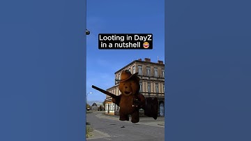 Looting in DayZ in a nutshell #dayz #dayzstandalone #gaming #shorts
