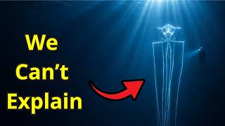 The CRAZIEST Deep Sea CREATURES At Every Depth