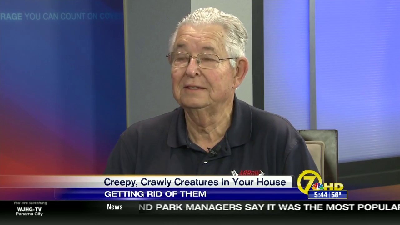 Creepy Crawly Creatures In Your House