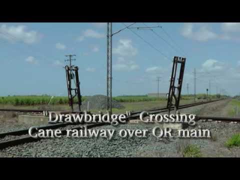 Sugar Cane Railway/QR Crossings - Meadowvale
