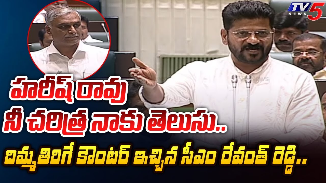 నీ బండారం.. | Telangana Chief Minister Revanth Reddy SHOCKING REPLY To Harish Rao Comments | TV5