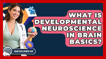 What Is Developmental Neuroscience In Brain Basics? - Brain Development Hub