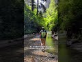 The Fern Canyon Trail is a must do hike in Redwood National Park!