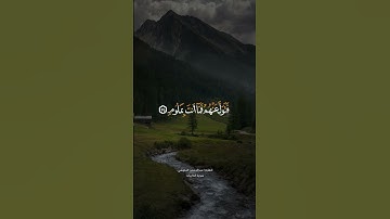 تلاوة عطرة للقارئ عبدالرحمن البلوشي من سورة الذاريات
