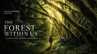 The Forest Within Us FULL DOCUMENTARY | Nature Documentary | Life Out There Documentaries