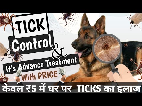वीडियो: पिल्ले के लिए पिस्सू और टिक रोकथाम