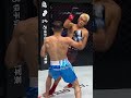 축구의 다양한 리그와 그 특징