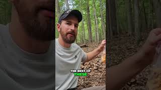 Foraging For Expensive Mushrooms: Grilling &amp; Cooking Secrets #shorts