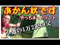 【ソロキャンプ】初心者必見！コスパ最強ソロテント【SKYLINK＆ClostNature】