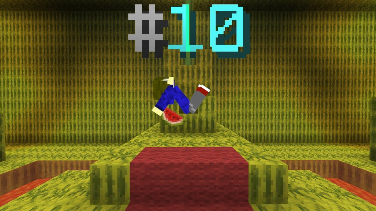 How I Became a Top 10 Melon Farmer on Hypixel Skyblock The Finale