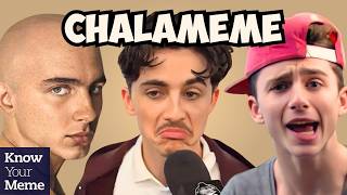 Understanding Timothée Chalamemes