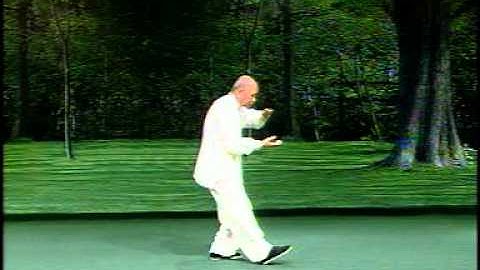 Wu shi taijiquan 83 Shi. Gao Zhuangfei.avi