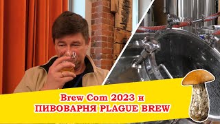 Конкурс домашних пивоваров BrewCom 2023 и "грибная" пивоварня Plague Brew