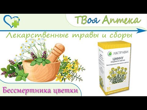 Бессмертника песчаного цветки - показания, описание, отзывы (болезни печени и желчевыводящих путей)