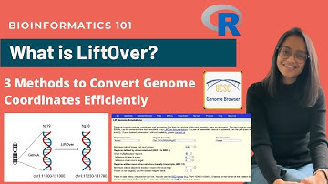 What is LiftOver? | 3 Methods to Convert Genome Coordinates Efficiently