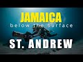 Cayman trader wreck  jamaica below the surface