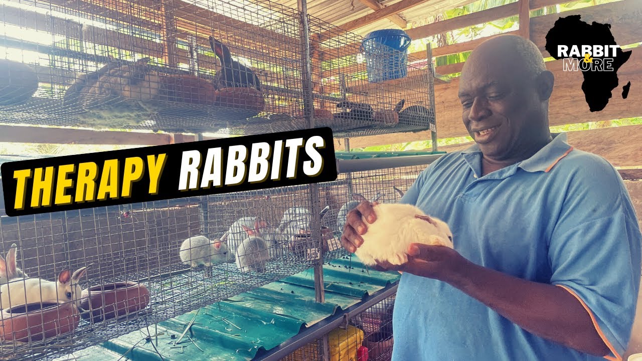 Retired Couple Using Rabbit Farming as THERAPY || K&E Rabbit Farms ...