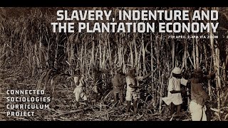 Slavery Indenture And The Plantation Economy