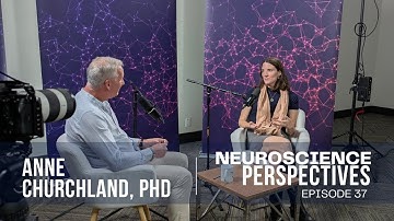 The Role of Neurons in Our Decisions & Behavior