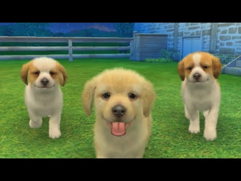 Nintendogs + Cats 3DS 30 Minutes of Gameplay, No Commentary