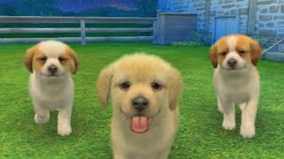 Nintendogs + Cats 3DS - 30 Minutes of Gameplay, No Commentary