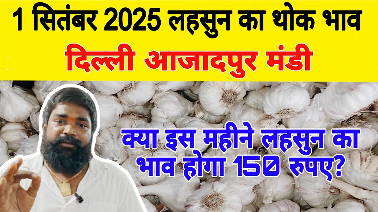 28 Aug 25 | Today Garlic Market Price | आज का लहसुन भाव 