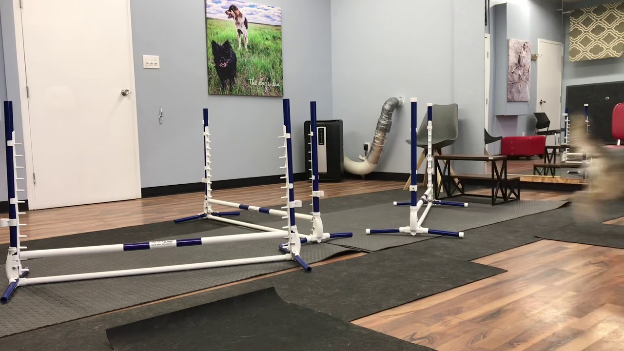 Dori 3 Jump Bend Grid & Basic Grid Dori