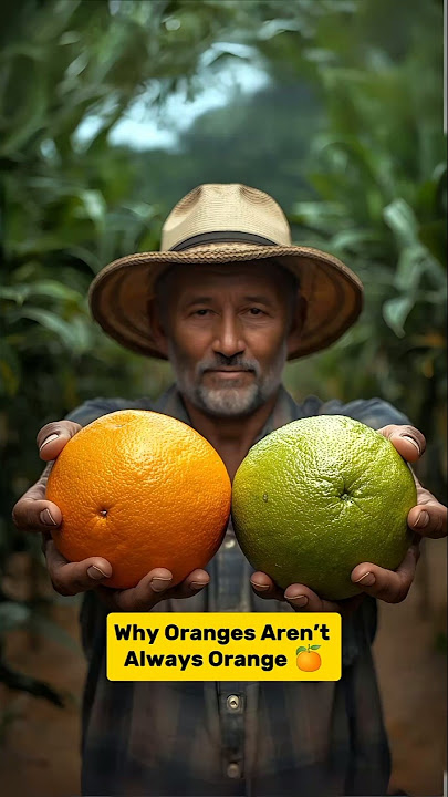 Why Oranges Aren’t Always Orange 🍊 #shorts #facts