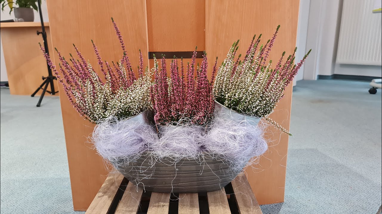 2025 11 02 Predigt Eckhard Pithan - Galater 1,10 bis 2,10 die Meinung der anderen