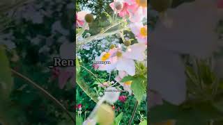 Renungan Kehidupan short