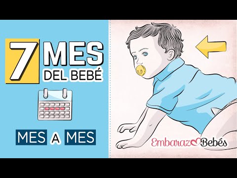 Vídeo: Cómo Alimentar A Un Bebé A Los 7 Meses