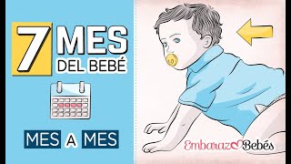 SÉPTIMO MES del bebé | 7 MES | Desarrollo y cuidados