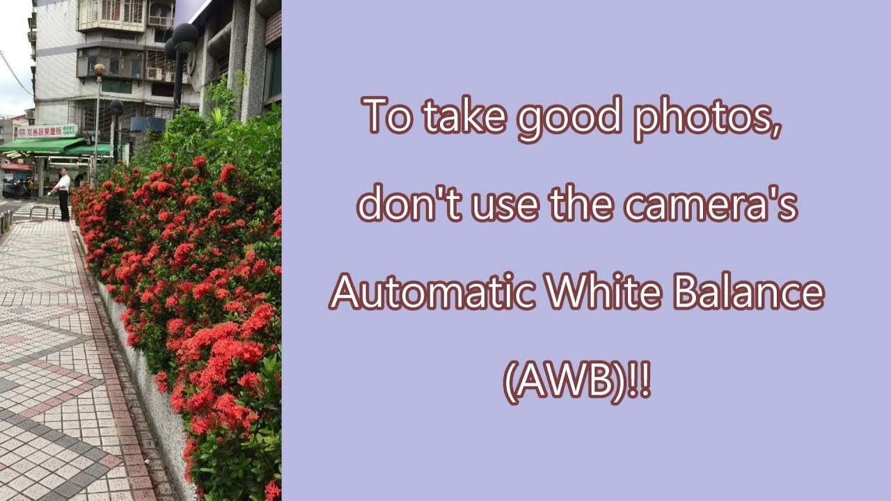 To take good photos, don't use the camera AWB!! - YouTube
