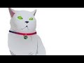 CAT Pictures 2 -CTF {Tryhackme} | detailed