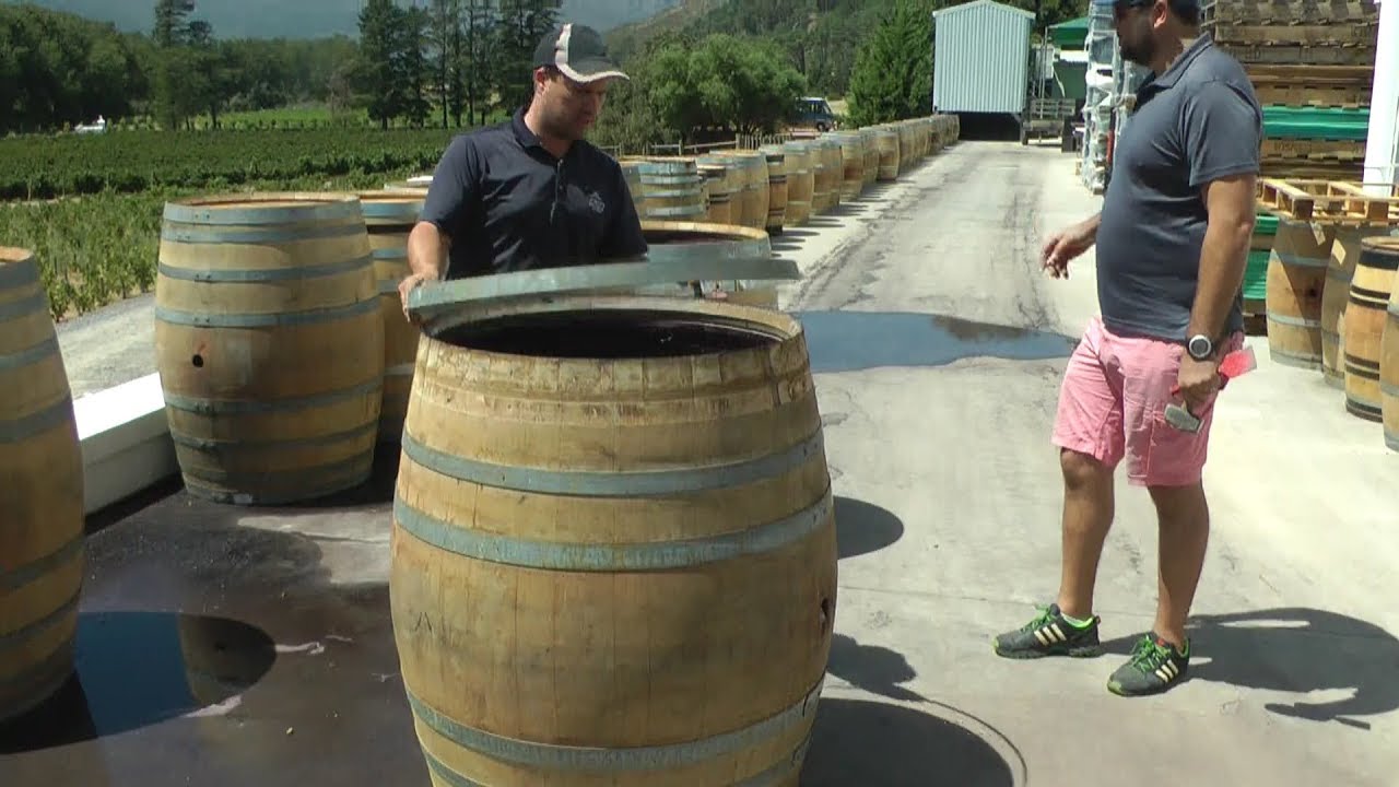 SA 23 Capetown via Rickety Bridge vineyard