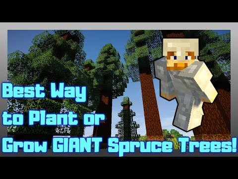 Video: Hoe ver uit elkaar moeten sparren worden geplant Minecraft?