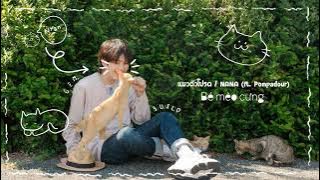 [Thai/Roman/Vietsub] แมวตัวโปรด / Bé Mèo Cưng (Favorite Cat) - NANA x Pompadour