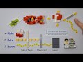Ionisation and absorption explained using LEGO | Physics of radioactivity