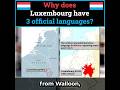 Why does Luxembourg have 3 official languages? (HISTORY)