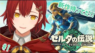 #1【ゼルダの伝説　ティアーズ オブ ザ キングダム】ついに発売!!いざ、ハイラルヘ。【花咲みやび/ホロスターズ】